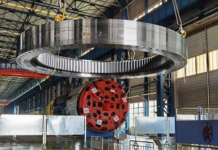 Tunnel Boring Machine Bearings